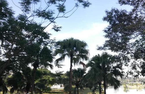 Putrajaya Apartment | Oceanfront Homestay King Putrajaya near Alamanda