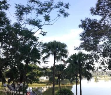 Putrajaya Apartment | Oceanfront Homestay King Putrajaya near Alamanda