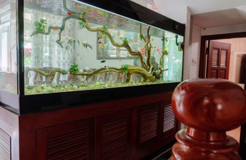 Tuy Hoa Apartment | Discover Homestay King Villa Phú Yên with Ocean Views
