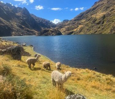 Pisac Hotel | Pet-Friendly Getaway at Homestay Kinsa Cocha