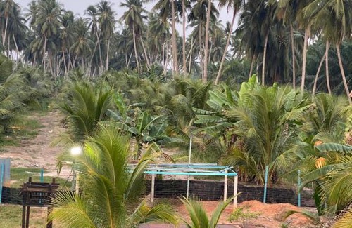 Kampung Sungai Burong House | Cozy Homestay Naim: Family-Friendly Retreat in Sabak Bernam