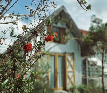 Phuong House | Budget-Friendly Pampas House with Family & Pet Amenities