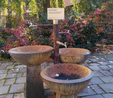 Podebrady House | Welcoming Homestay Poděbrady with Kitchen & Accessibility