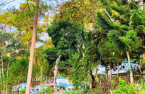 Da Lat RV Rental | Homestay Sound of Silence