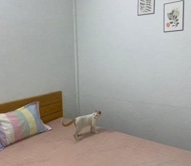 Trang Bom House | Guest Rated 9.9: Pet-Friendly Homestay Tay for Families
