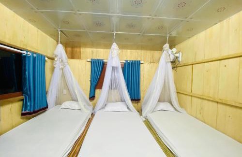 Nam Dong House | Homestay Tre Vàng