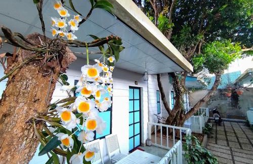 Pleiku House | Cozy Homestay Vườn nhãn: Pet-Friendly & Family Fun