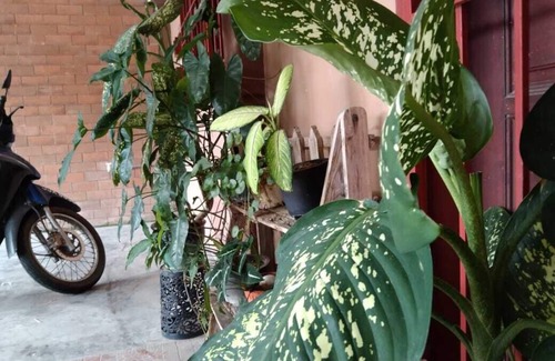 Parit Raja House | Family-Friendly Homestay with Open Concept Living Area