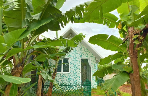 Buon Ma Thuot House | Serene Homestay Xóm Rau Tn Hưng: Family & Pet-Friendly Retreat