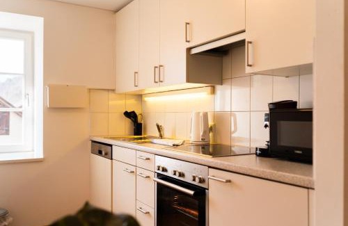 Bludenz Apartment | Discover Bludenz Alpine Panorama: Family-Friendly Escape