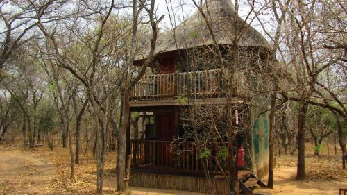 Mookgopong Other | Explore Honeyguide Ranger Camp: Oceanfront Escape with Spa