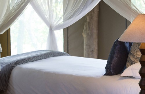 Sterkrivier Other | Explore Honeyguide Ranger Camp: Family-Friendly Retreat
