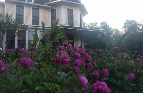 Manitou Springs Historic District Cottage | Beautiful Honeysuckle Cottage in Downtown Manitou Springs