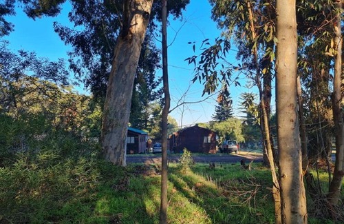 Trawal Apartment | Cozy Hoogeland's Wood Cabins with Hot Tub & 9.3 Rating