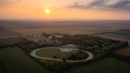 Erd Bed & Breakfast | Hope Horse Panzió