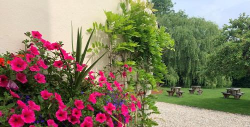Cheltenham House | Inviting Hope Orchard: Guest Rated 9.5 with Breakfast Included