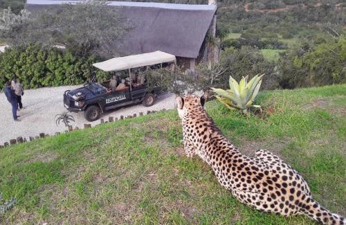 Colchester Cabin | Exquisite Hopewell Private Game Reserve with Oceanfront Views