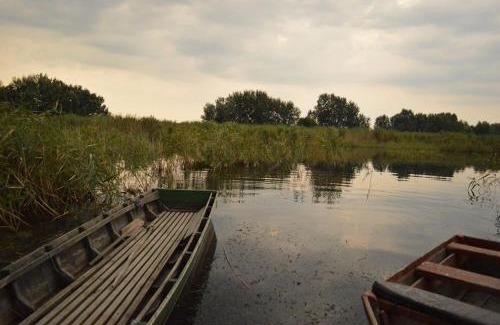 Egyek House | Pet-Friendly Horgász-Vadász Vendégház: Family Retreat