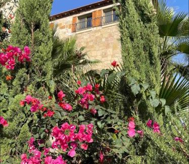 Suwailih House | Discover Horizon Loft: A Family-Friendly 4-Star Retreat