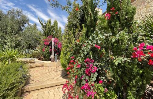 Suwailih Villa | Explore Horizon1: Pet-Friendly Hotel with Pool & High Ratings