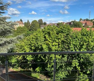Niederbronn-les-Bains Apartment | Family-Friendly Horizons du Haut with 9/10 Guest Rating