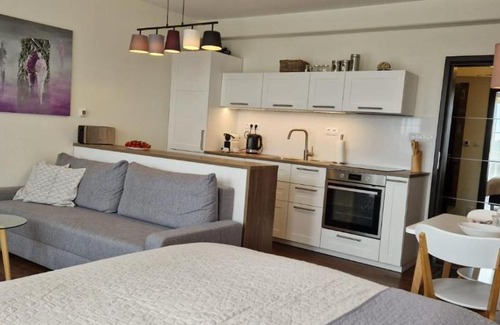 Vitkovice Apartment | Exceptional Stay at Horní Mísečky - C1 Apartment by the Slopes