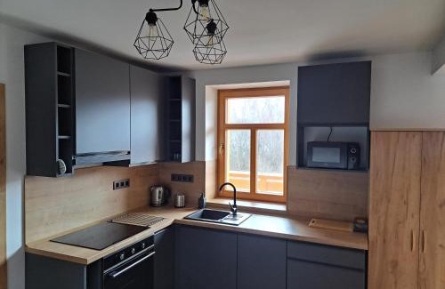 Karlovy Dvory Apartment | Oceanfront Hůrka Apartmán Hannzi - Family-Friendly Retreat