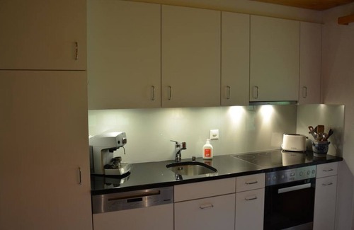 Saanen Apartment | Discover Hornflue (Wohlwender) with Spa and Breakfast