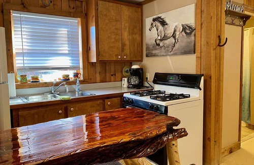 Ferguson Cabin | Pet-Friendly Horse Themed Cabin with Pool & High Ratings