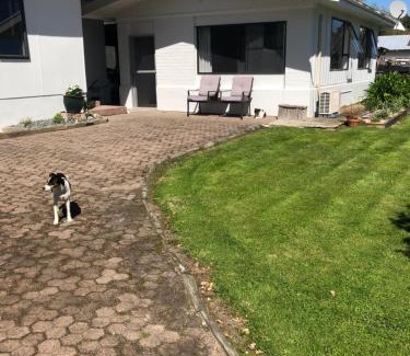 Cambridge Bed & Breakfast | Discover Horseinaround: Pet-Friendly Retreat with Spa