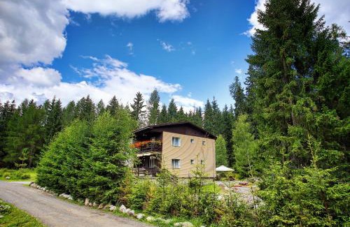 Ziar Cabin | Discover horská chata Žiaranka: Pet-Friendly Retreat