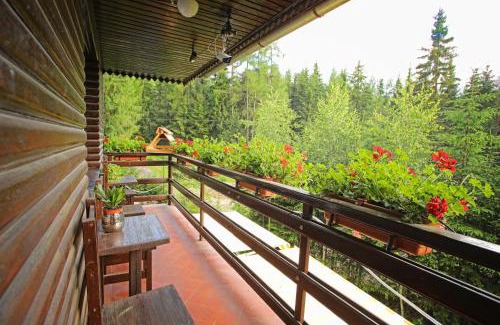 Ziar Cabin | Discover horská chata Žiaranka: Pet-Friendly Retreat