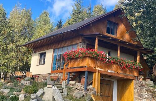Jachymov Apartment | Charming Horská Chata U Kameníčka: Pet-Friendly Retreat