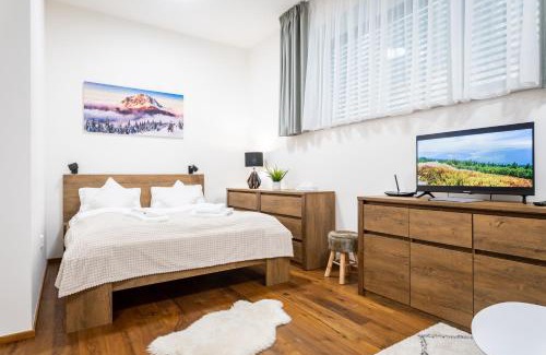 Vrchlabi Apartment | Relaxing Mountain Retreat with Wellness and Spa Services