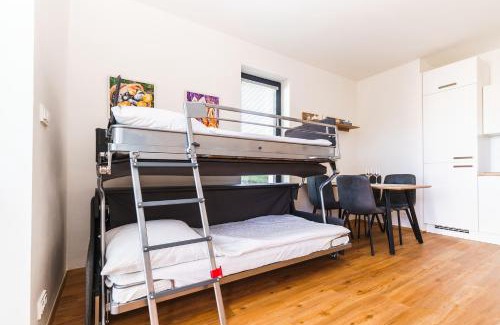 Loucna Pod Klinovcem Apartment | Guest Rated 9.3: Horský apartmán Temari in Klínovec