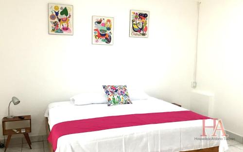 Tuxpan Apartment | Budget-Friendly AURA Apartment in the Historic Center