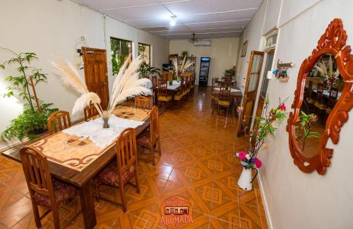 Constitucion House | Pet-Friendly Hospedaje Ahumada: Family-Approved Comfort