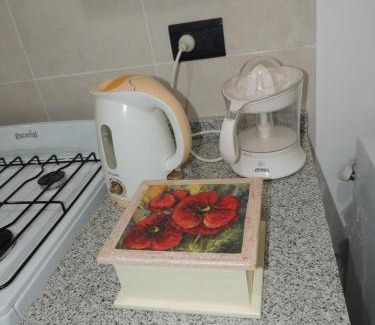 Calchaqui Apartment | Pet-Friendly Stay at Hospedaje Alojamiento ZF