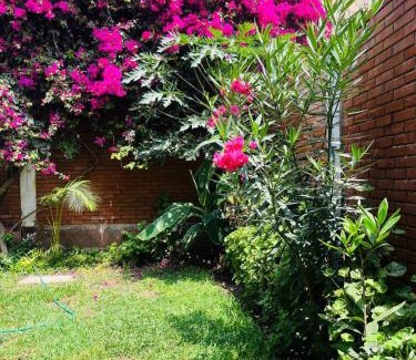 Lurin Bed & Breakfast | Unforgettable Casa de Playa Arica: Guest Rated 10/10