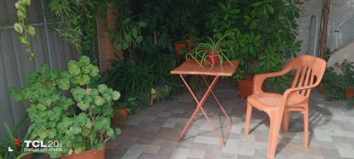 Almafuerte House | Top-Rated Hospedaje LA LUCIA with Breakfast & Family Amenities