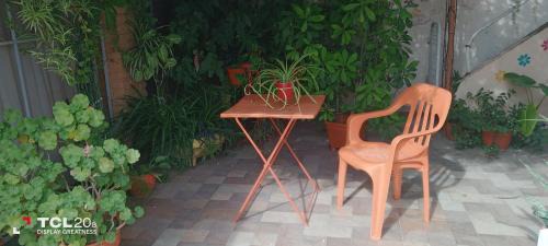 Almafuerte House | Top-Rated Hospedaje LA LUCIA with Breakfast & Family Amenities