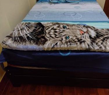 Puerto Chicama House | Ocean View Escape at Hospedaje Nelly - Rated 10/10