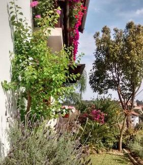 Treze Tilias House | Exceptional Stay at Hospedaria Gãstehaus Enzian - 10/10 Rated