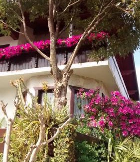 Treze Tilias House | Exceptional Stay at Hospedaria Gãstehaus Enzian - 10/10 Rated