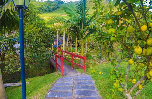 Sao Jose do Ribeirao Hotel | Inviting Hospedaria Rancho Ferreira: Pool, Oceanfront Bliss