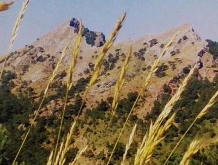 Paterna del Madera Bed & Breakfast | Cozy Hostal Almenara with Restaurant and Family-Friendly Options
