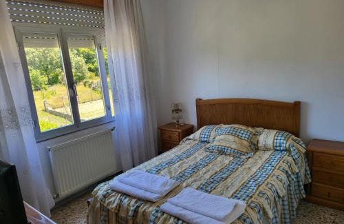 Entrimo House | Budget-Friendly Hostal Barcelona: Pet & Child Friendly Stay