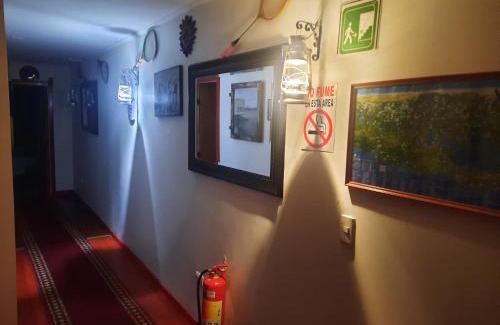 Puerto Varas House | Budget-Friendly Hostal Brisas del Sur with Breakfast & Kitchen