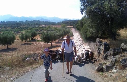 Arnes House | Cozy Hostal Can Barrina: Family-Friendly with Great Dining