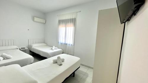 La Victoria House | Budget-Friendly Stay at Hostal Carlos III with Breakfast